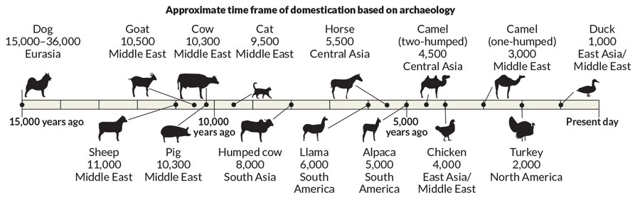 의외로 닭이 종교에서 금지 안 당한 이유.jpg_1.png