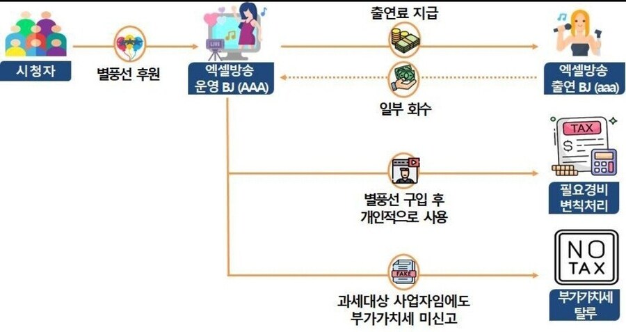 국세청, 엑셀방송·사이버렉카 BJ에 칼 뽑았다…세무조사 착수_2.jpg
