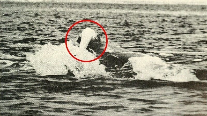 [혐/공포] 해변가에 떠내려온 괴물체의 정체_2.jpg