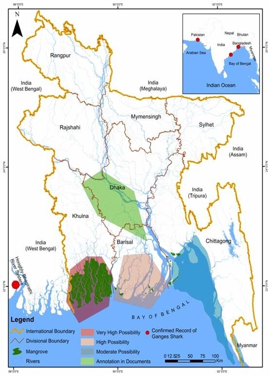 멸종 위기에 처한 담수 "상어"_4.jpg