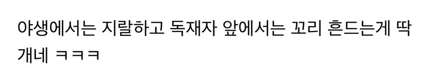 우크라이나 전쟁 이후 바뀐 상남자국가 러시아밈.jpg_4.jpg