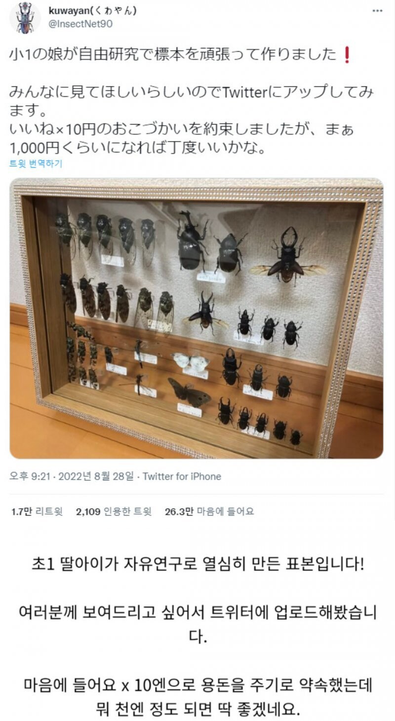 초등학교 1학년이 만든 표본_1.jpg