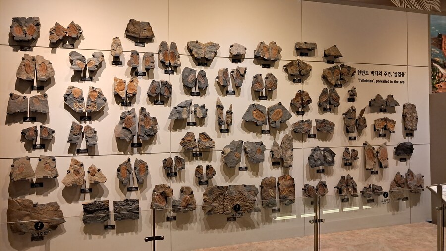 당일치기 대전 성심당 / 부모님 생신 파티_27.jpg