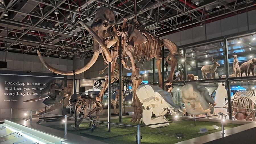 당일치기 대전 성심당 / 부모님 생신 파티_28.jpg