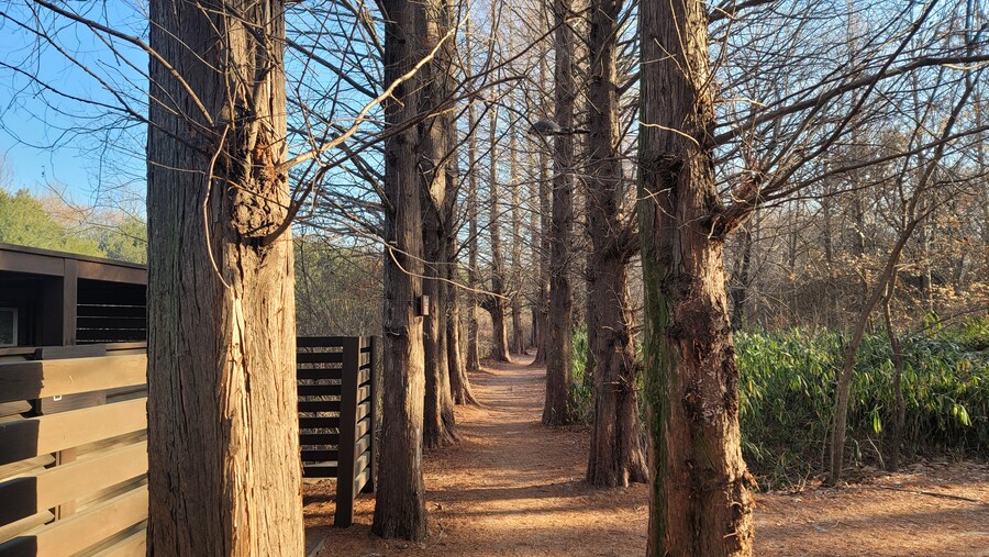 1월 장월평천, 파주출판단지 유수지 탐조_5.jpg