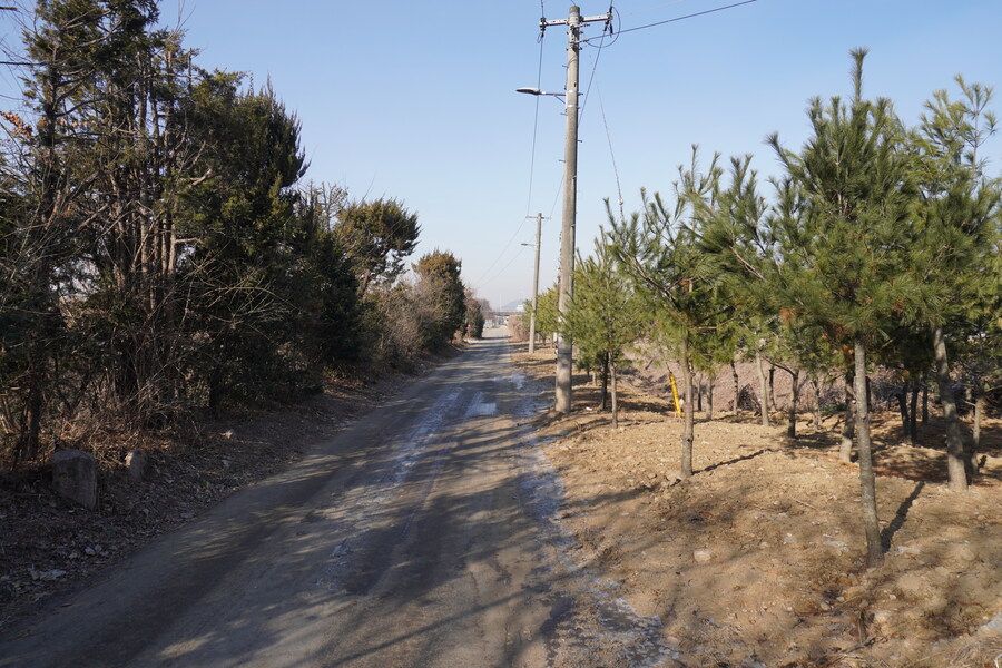 1월 장월평천, 파주출판단지 유수지 탐조_11.jpg