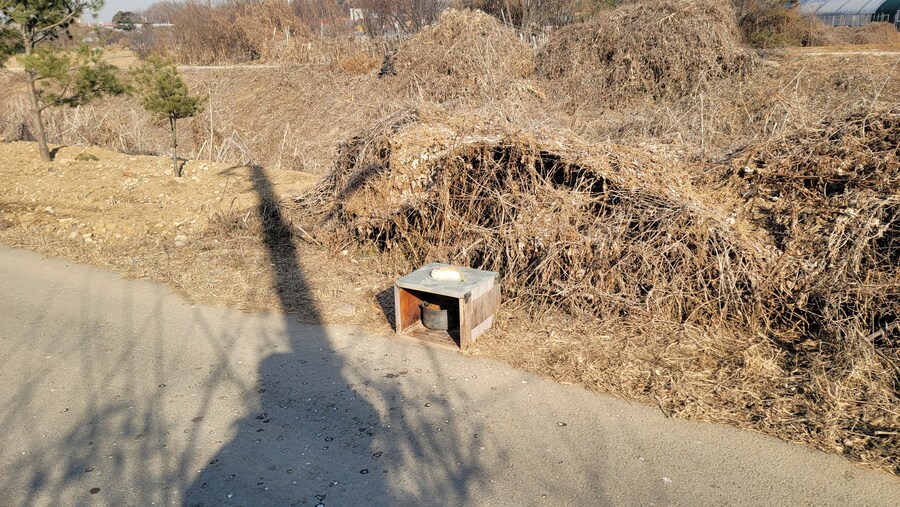 1월 장월평천, 파주출판단지 유수지 탐조_14.jpg