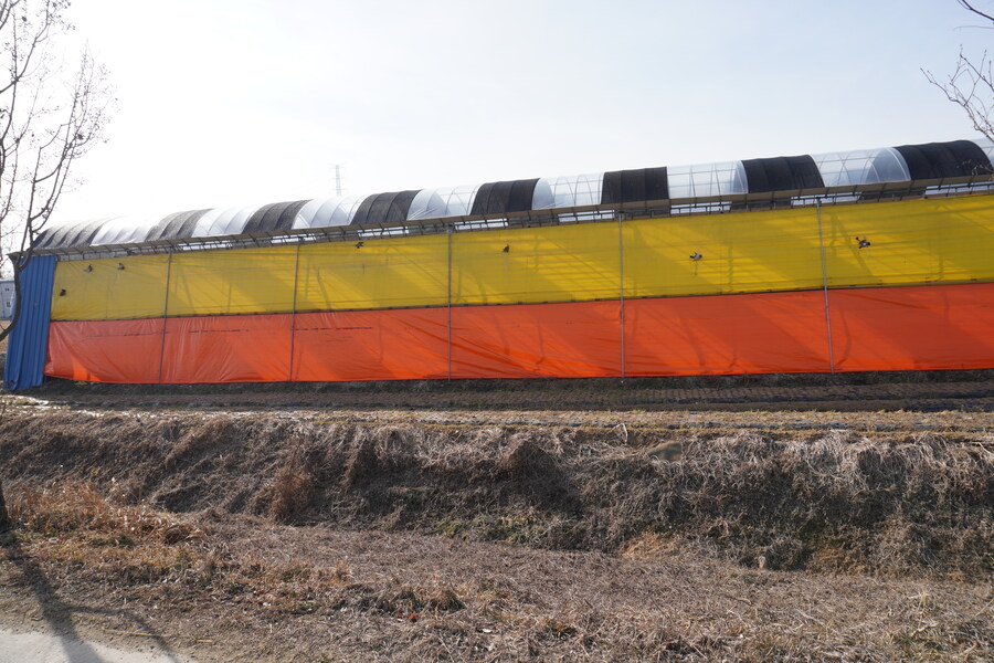 1월 장월평천, 파주출판단지 유수지 탐조_38.jpg