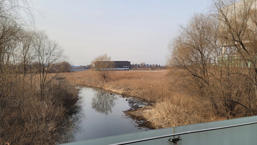 1월 장월평천, 파주출판단지 유수지 탐조_50.jpg