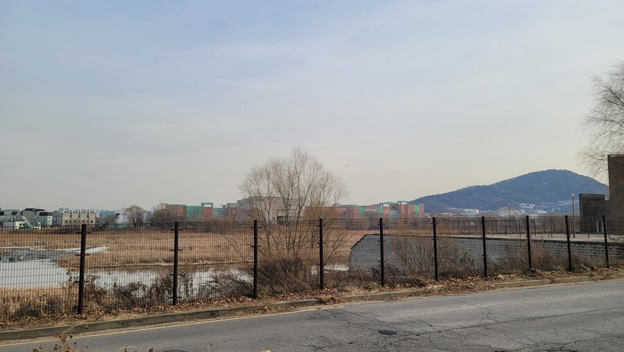 1월 장월평천, 파주출판단지 유수지 탐조_68.jpg