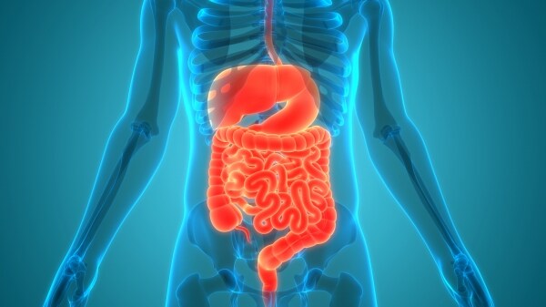 엄마! 쟤 배아프다면서 흙먹어!_4.jpg