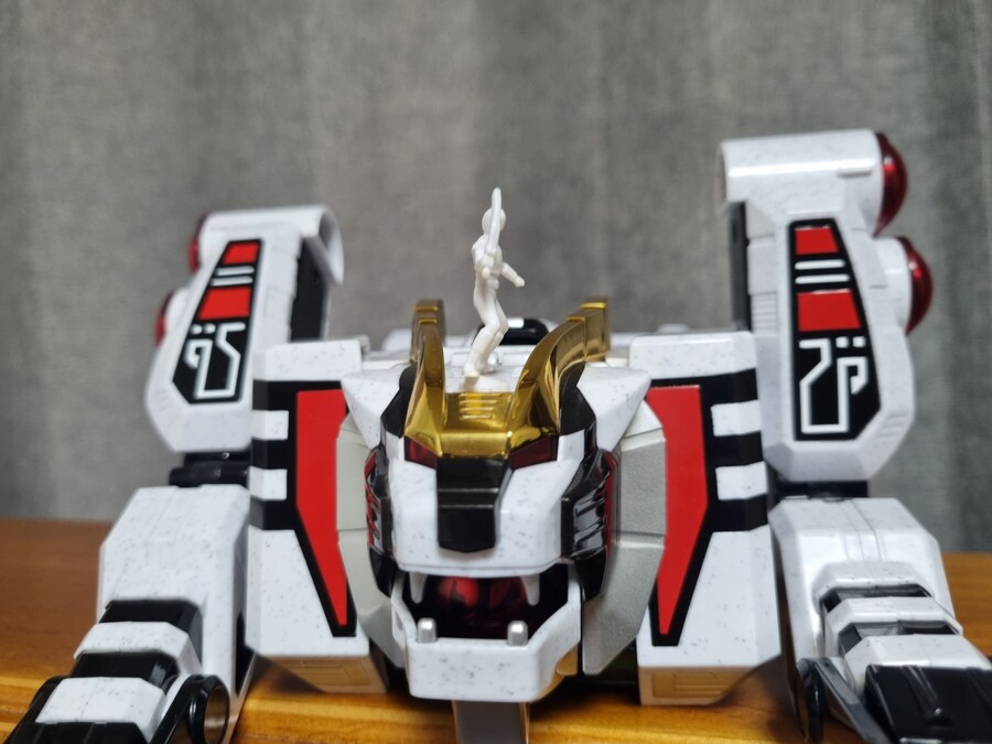 전대장인 대련왕 , 아대왕_14.jpg