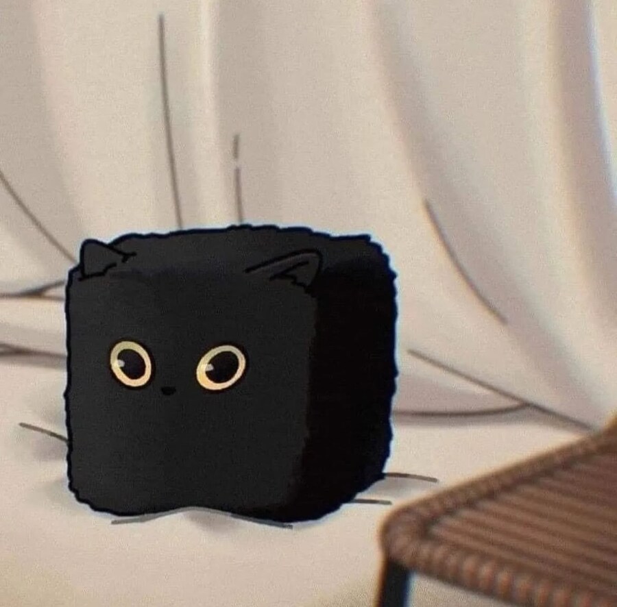 귀여운 고양이들의 카툰&실사 순간들_4.jpg