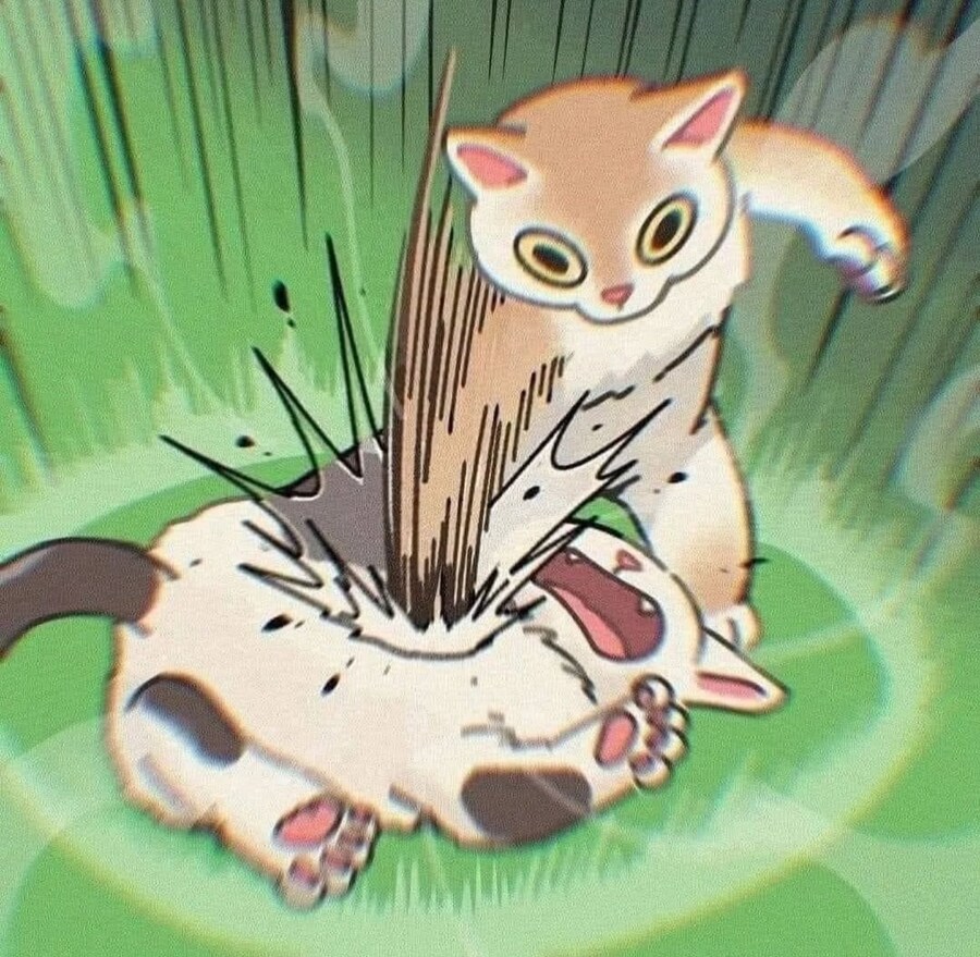 귀여운 고양이들의 카툰&실사 순간들_12.jpg