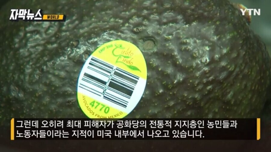 공화당 지지자들도 다 알고 뽑은거 아니었냐 ㅋㅋㅋ_2.jpg