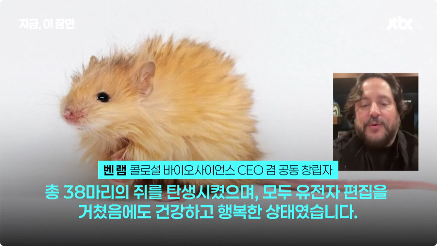 매머드 근황.jpg_7.jpg