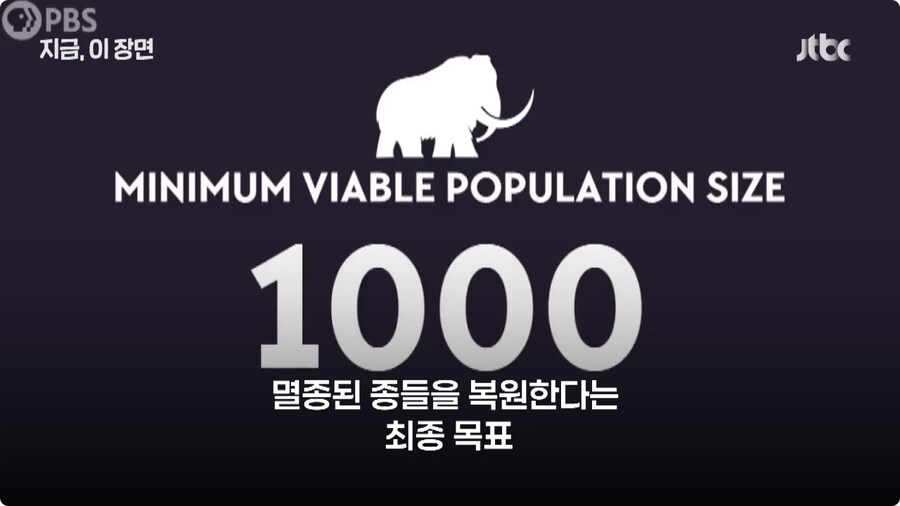 매머드 근황.jpg_10.jpg