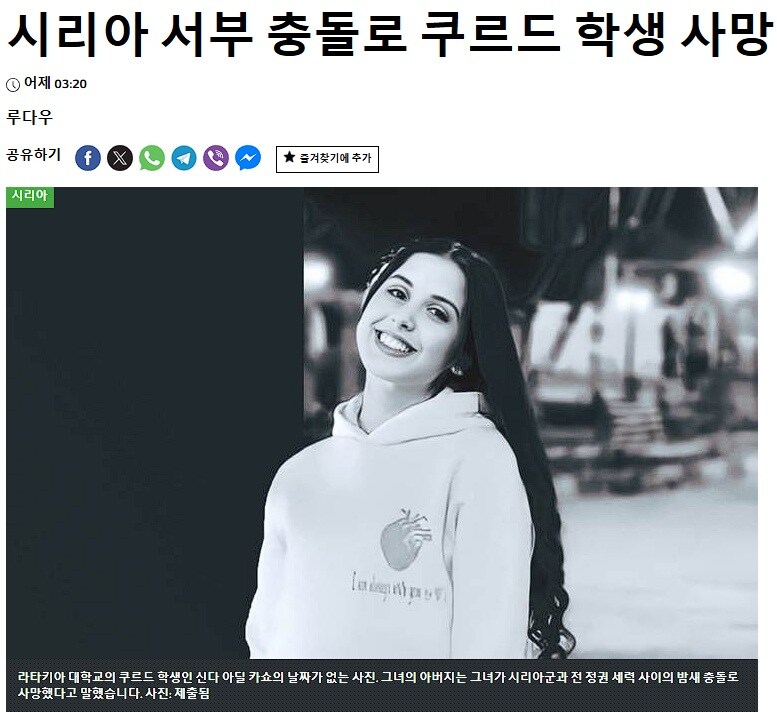 베글 시리아 문제는 좀 사정이 복잡함_7.jpg