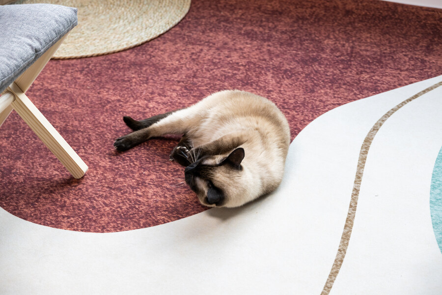 43살 老총각 아파트 샀습니다._18.jpg