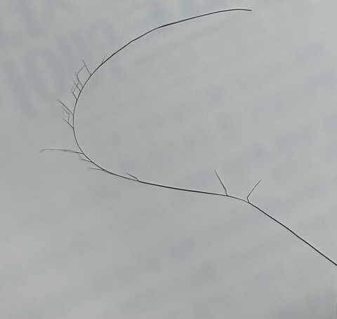 남자들은 모르는 장발 여성의 고충류 甲_2.jpg