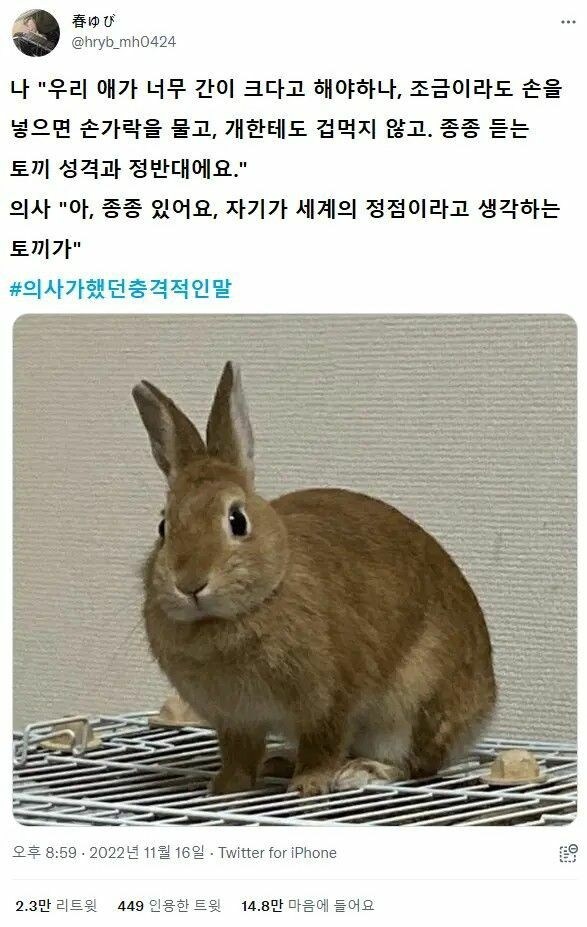 의사가 했던 가장 충격적인 말_1.jpg