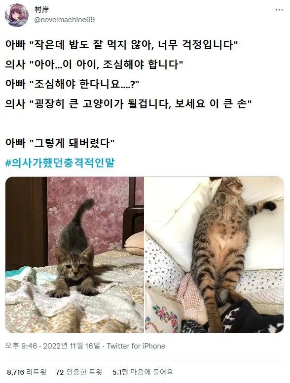 의사가 했던 가장 충격적인 말_4.jpg
