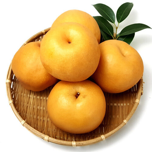 마이클 잭슨이 생전에 매우 감탄할 정도로 극찬했다는 한국 과일_4.jpg