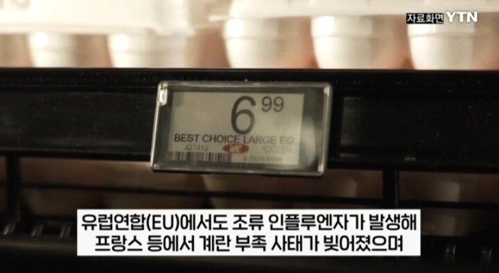 프랑스: 내가 먹고 죽을 계란도 없다고!!!_6.jpg