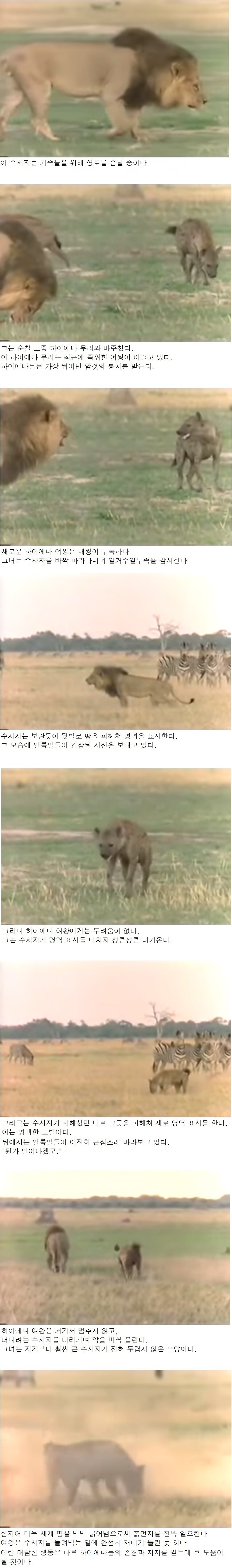 신하들한테 왕권과시하다가 옆나라 왕에게 골로 가버린 여왕.jpg_1.jpg