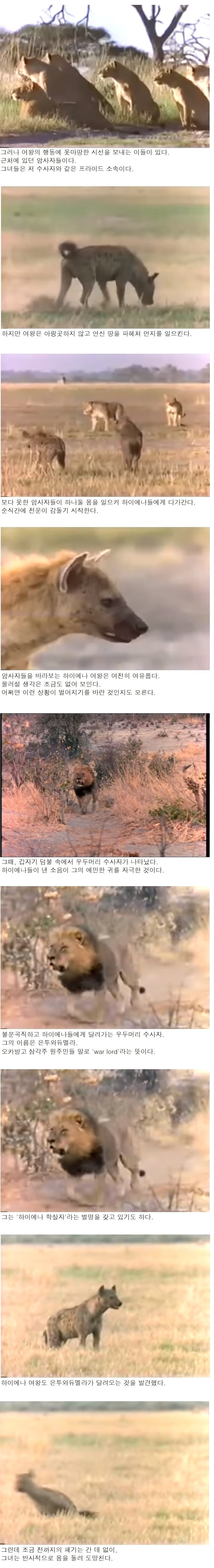 신하들한테 왕권과시하다가 옆나라 왕에게 골로 가버린 여왕.jpg_2.jpg