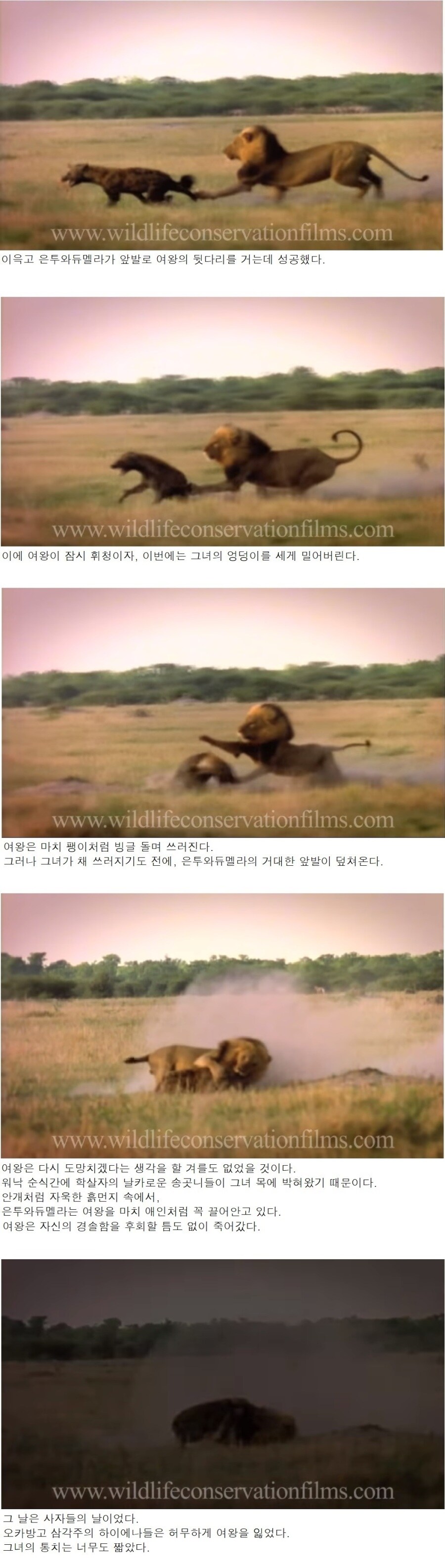 신하들한테 왕권과시하다가 옆나라 왕에게 골로 가버린 여왕.jpg_4.jpg