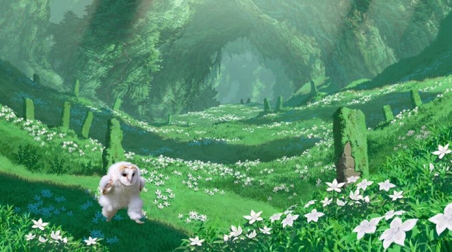 에호에호 달리는 부엉이 근황_9.jpg