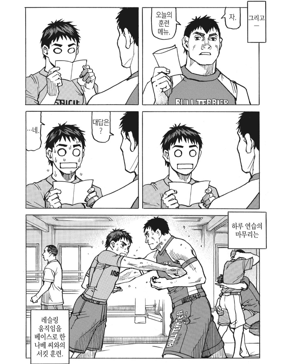 타격기 외 기술도 잘 활약하는 격투기 만화 추천합니다._2.jpg