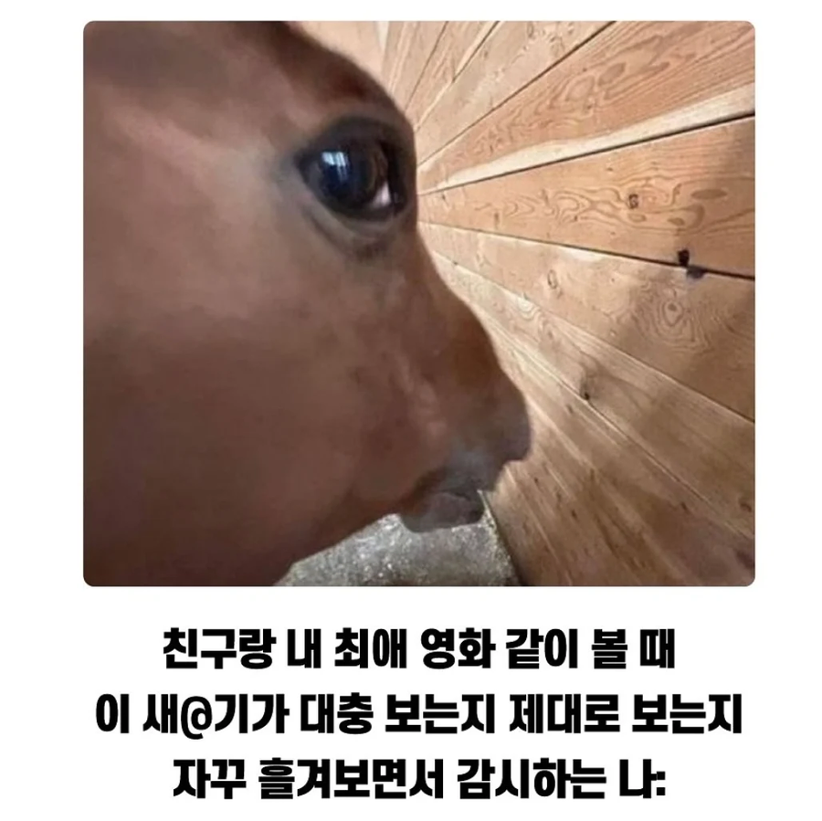 친구랑 내 최애영화 같이 볼 때.jpg_1.webp