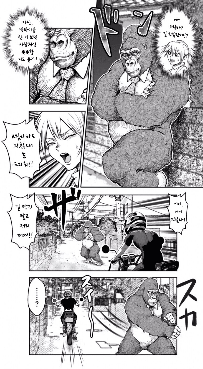 도둑에게 빼앗기는 만화.manhwa_2.jpg