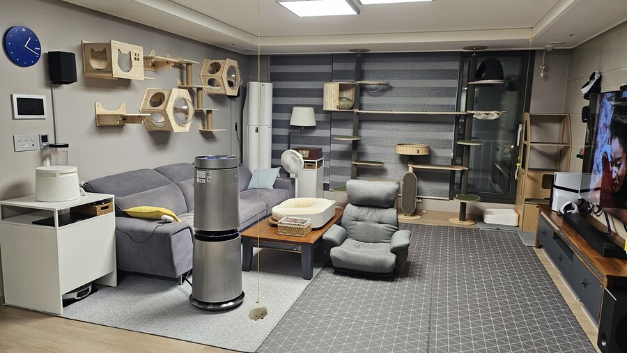 똥꼬발랄한 러블 아깽이 , 분양했습니다. ♥-♥_6.jpg