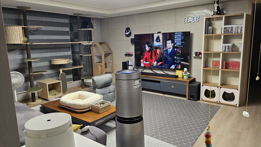 똥꼬발랄한 러블 아깽이 , 분양했습니다. ♥-♥_7.jpg