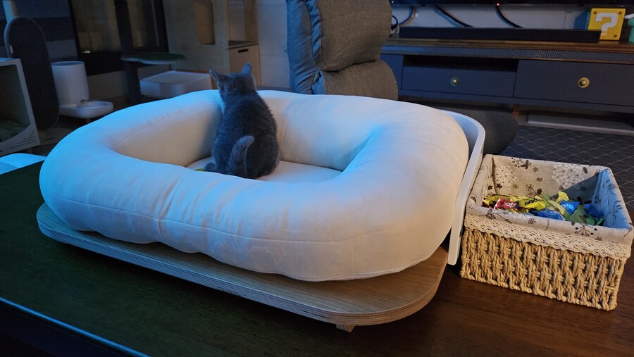 똥꼬발랄한 러블 아깽이 , 분양했습니다. ♥-♥_18.jpg