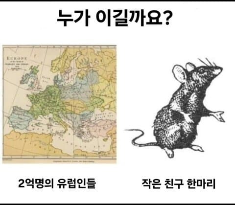 호주 : 자꾸 나보고 동물한테 진 허접국가라고 까던데._1.jpg