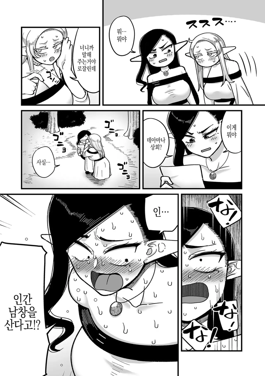 엘프의 긍지를 지키는 노처녀 엘프.manga_2.webp