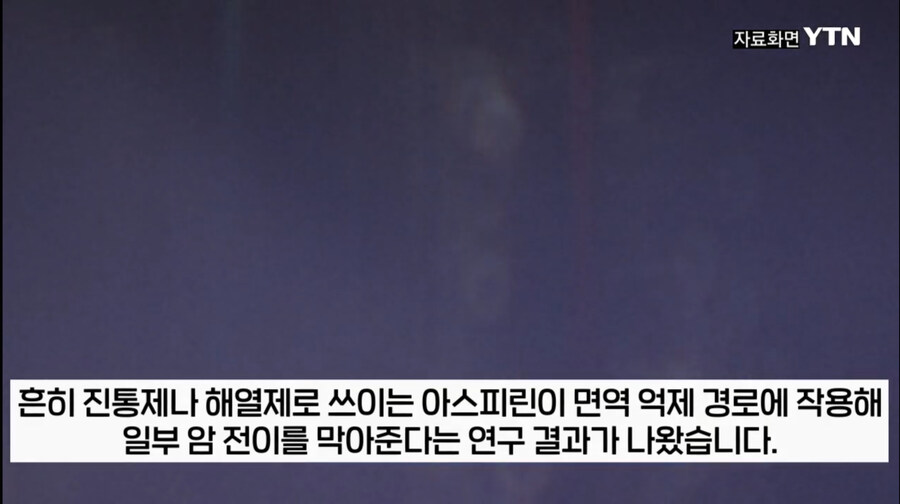 아스피린 근황_1.jpg