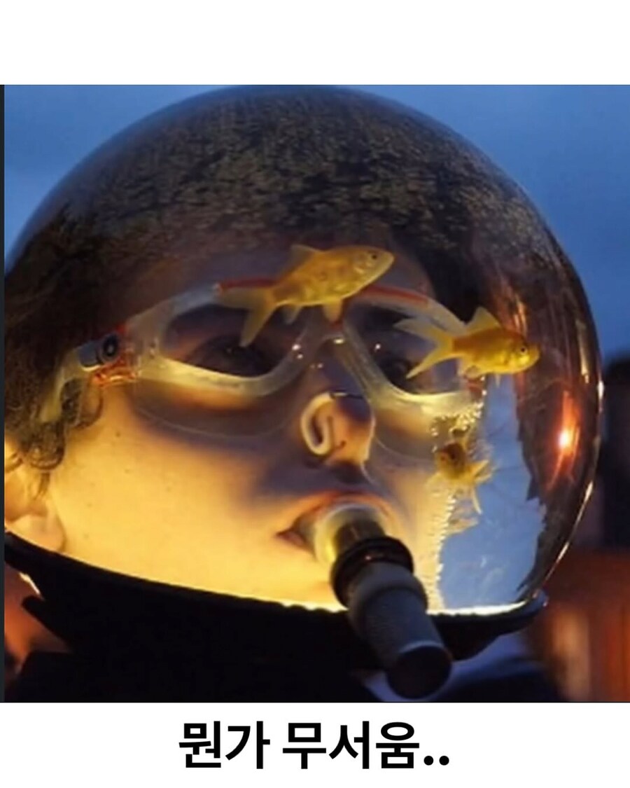 네덜란드에 있는 실제 아쿠아맨_4.png