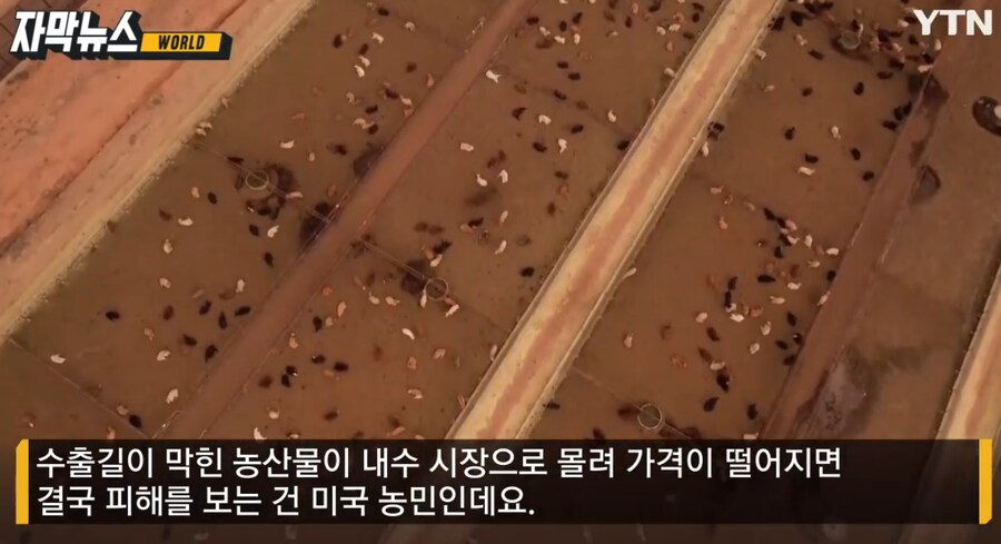 트럼프 뽑아준 농민들과 노동자들 근황._4.png