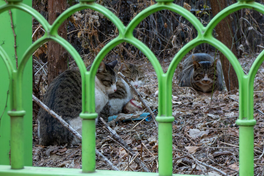 2월 망한 탐조_8.jpg