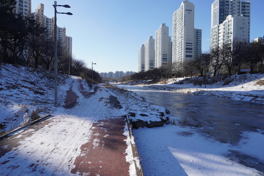 2월 시화호 북단 및 오이도 탐조_1.jpg