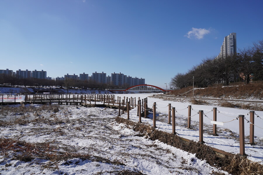 2월 시화호 북단 및 오이도 탐조_2.jpg