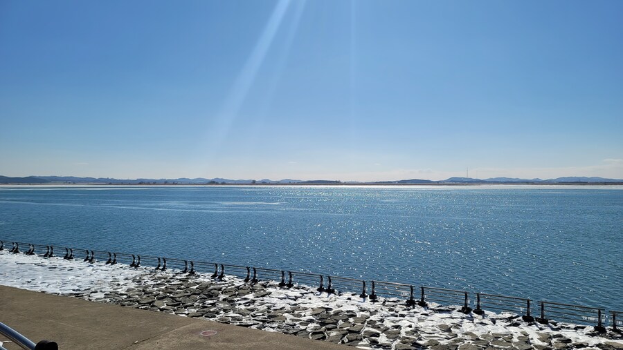 2월 시화호 북단 및 오이도 탐조_12.jpg