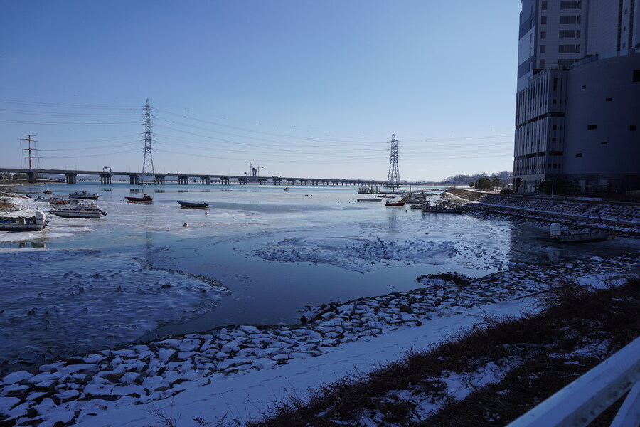2월 시화호 북단 및 오이도 탐조_24.jpg