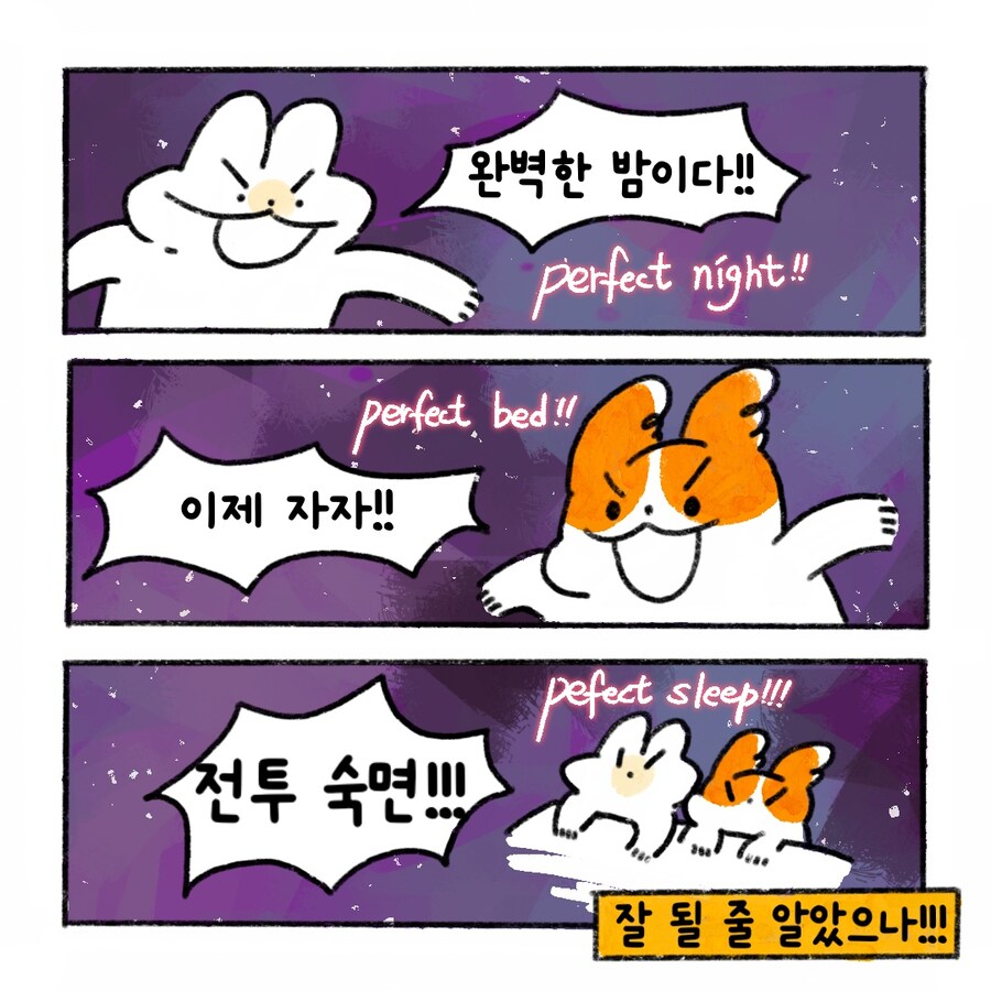 [냥뇽툰] 여름.... 캠핑이었다(2).manhwa_3.jpg