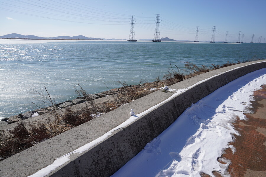 2월 시화호 북단 및 오이도 탐조_33.jpg